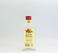SPECHT KIRSCHWASSER 20 CL