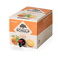 SCHULP SAPTAP SINAASAPPELSAP 5 LTR
