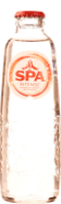 SPA INTENSE ROOD 28 X 25 CL