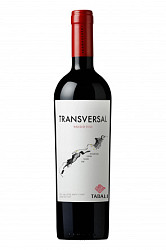 VIñA TABALI RESERVA ESPECIAL TRANSVERSAL 2019 75 CL
