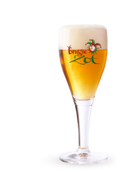 BRUGSE ZOT BLOND 20 LTR