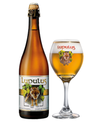 LUPULUS BLOND TRIPEL 24 X 33 CL O.W.