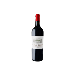 CHATEAU SAINT- éMILION BOUTISSEGRAND CRU 2019 75 CL