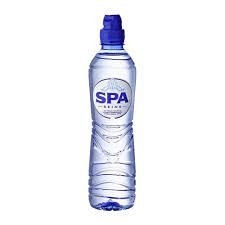 SPA REINE BLAUW 24 X 50 CL PET