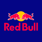 RED BULL 24 X 25 CL STATIEGELD