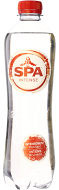 SPA INTENSE ROOD 24 x 50 CL PET